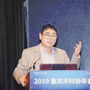 重慶的“鎂夢”——成為世界鎂儲能材料和裝備研究中心